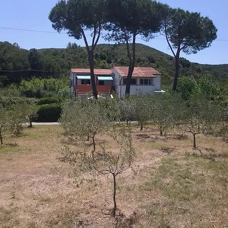 Otel Rustichello