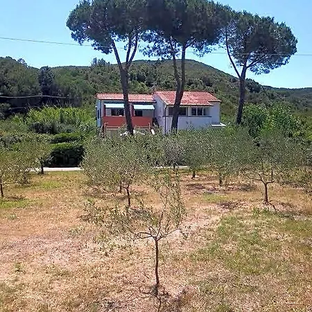 Rustichello * Marina di Campo