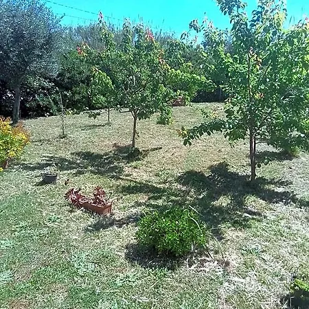 Rustichello Szálloda